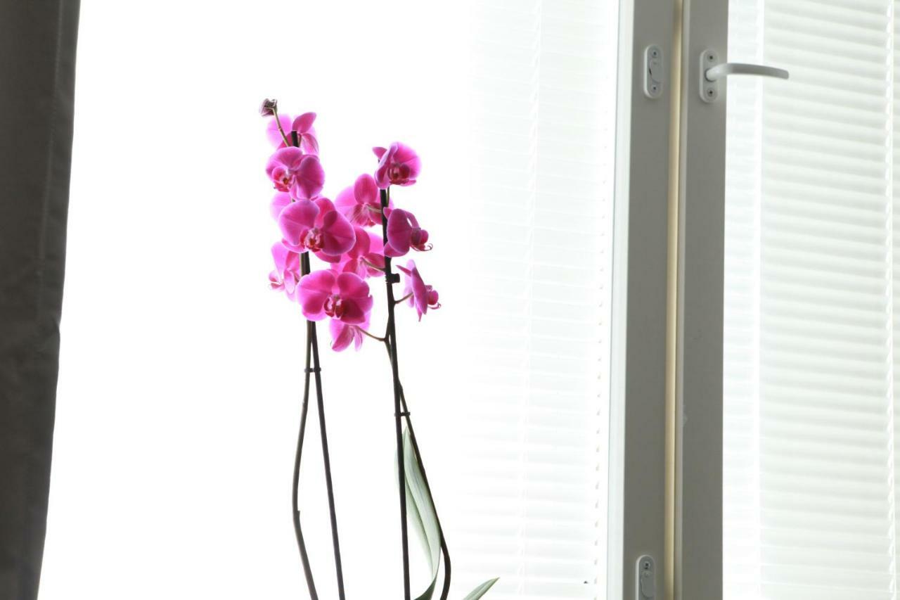 Studio Orchidea เฮลซิงกิ ภายนอก รูปภาพ